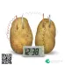 Potato Clock Science Set